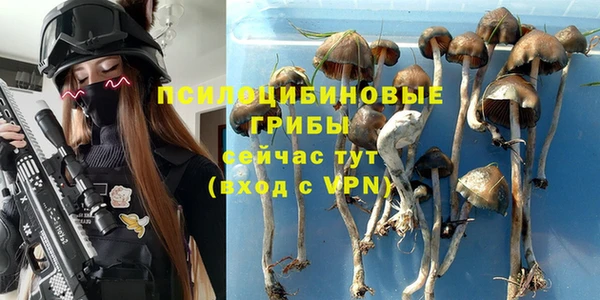 спиды Армянск