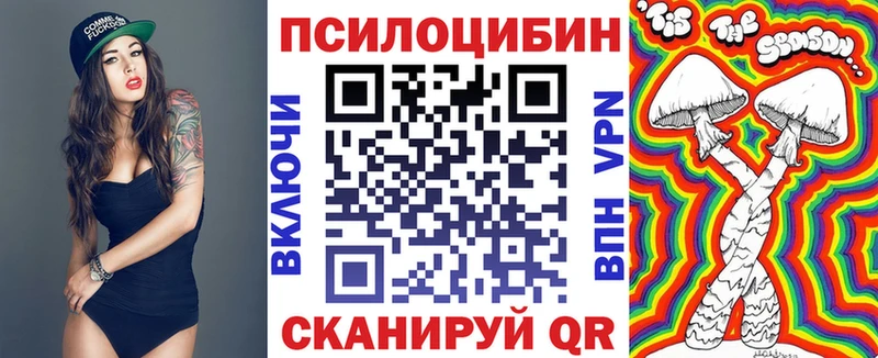Псилоцибиновые грибы Magic Shrooms  Купить закладки  Ковылкино 
